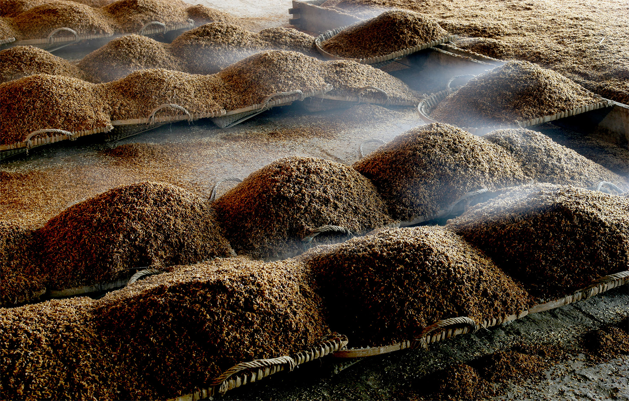 Eight times of fermentation